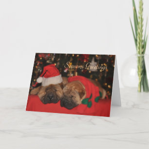 Shar Pei Sömnig julkort Helgkort
