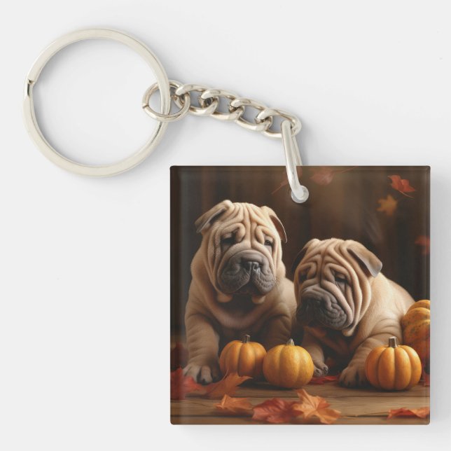 Shar Pei Valp Höstglädje Pumpa (Framsidan)