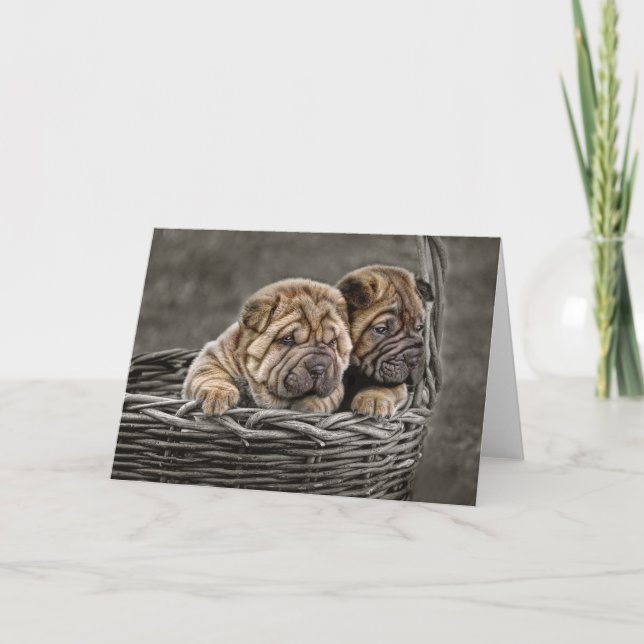 Shar-Pei valper i baskethälsningkort Kort (Framsida)
