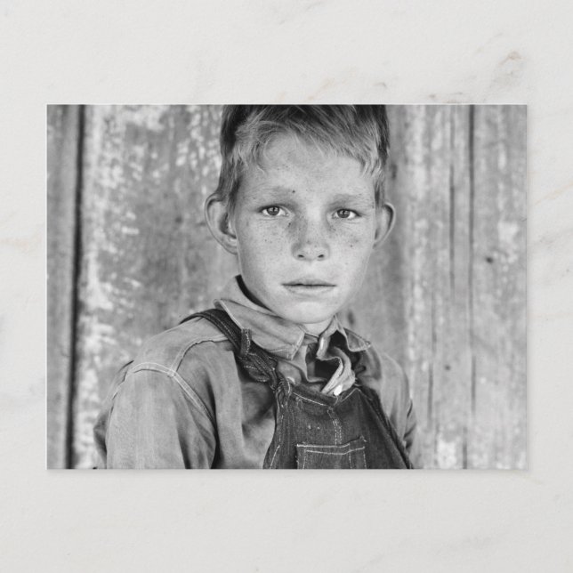 Sharecropper's Son - 1937 Vykort (Framsida)