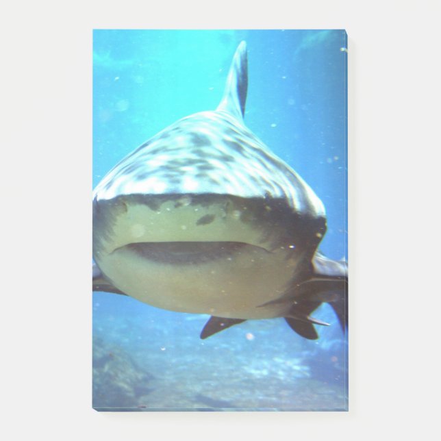 shark-5.jpg post-it block (Framsida)