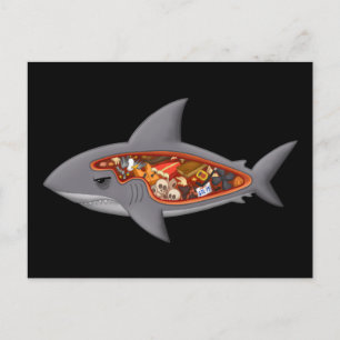 Shark Anatomy Vykort