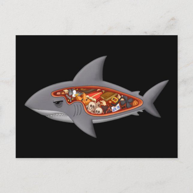 Shark Anatomy Vykort (Framsida)