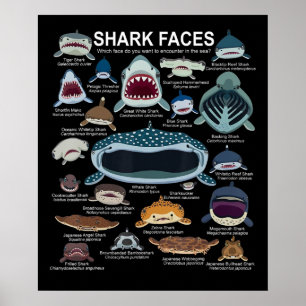 Shark Ansikte som Ansikte vill träffa Poster