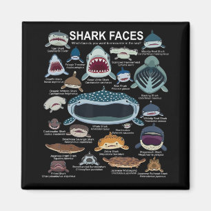 Shark Ansikte som du vill träffa på Ansikte Magnet