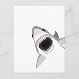 Shark Attack Vykort