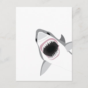 Shark Attack Vykort