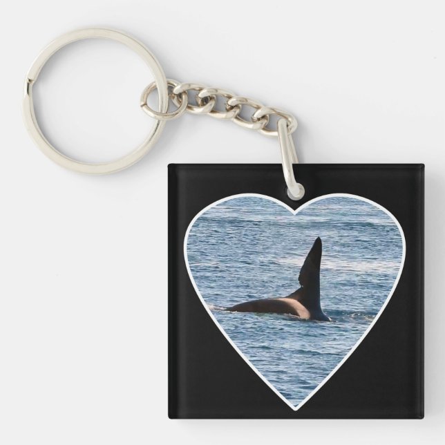 Shark Bita Fin of "John Coe" Orca (Framsidan)