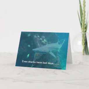 Shark Card Kort