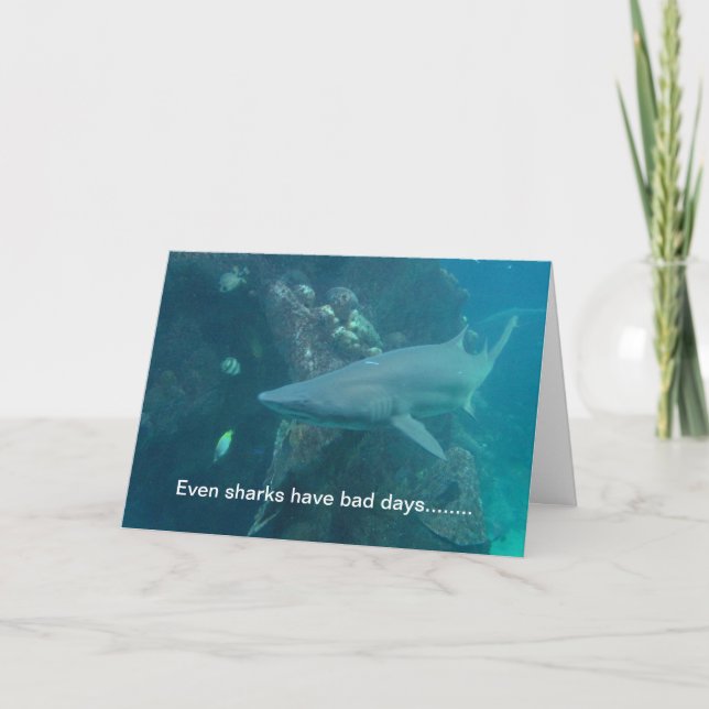 Shark Card Kort (Framsida)