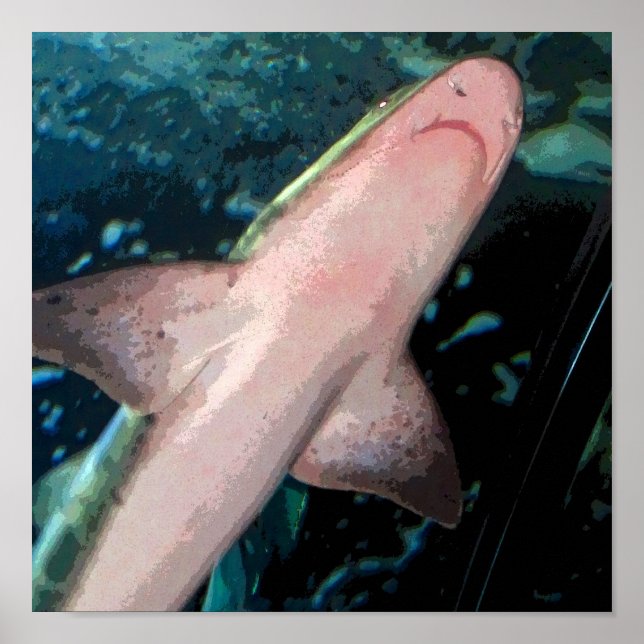 Shark CB Poster (Framsidan)