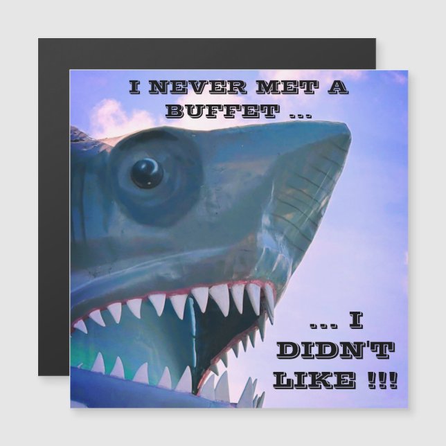 SHARK CRUISE DOOR MAGNET (Fram/baksida)