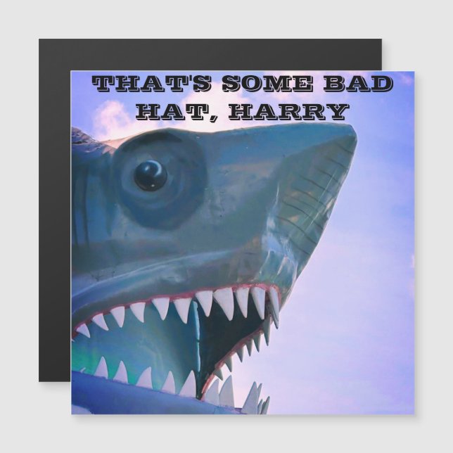 SHARK CRUISE DOOR MAGNET (Fram/baksida)