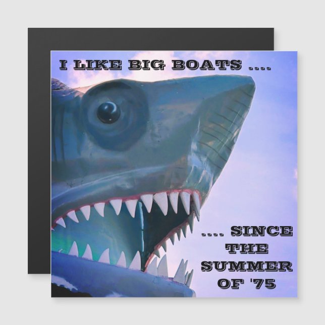 SHARK CRUISE DOOR MAGNET (Fram/baksida)