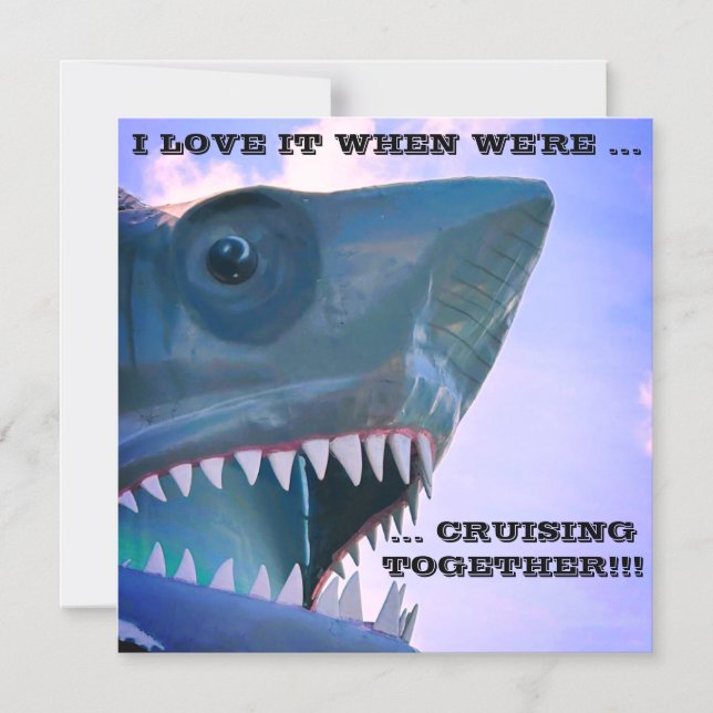 SHARK CRUISE DOOR MAGNET (Framsida)