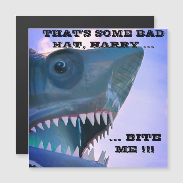 SHARK CRUISE DOOR MAGNET (Fram/baksida)