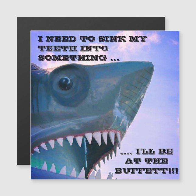 SHARK CRUISE DOOR MAGNET (Fram/baksida)