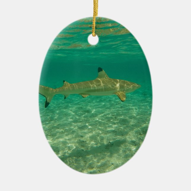 Shark in bora bora julgransprydnad keramik (Framsidan)
