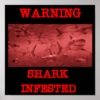 SHARK INFESTED POSTER