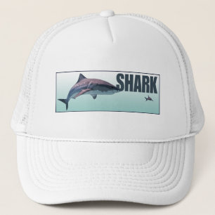 Shark Keps