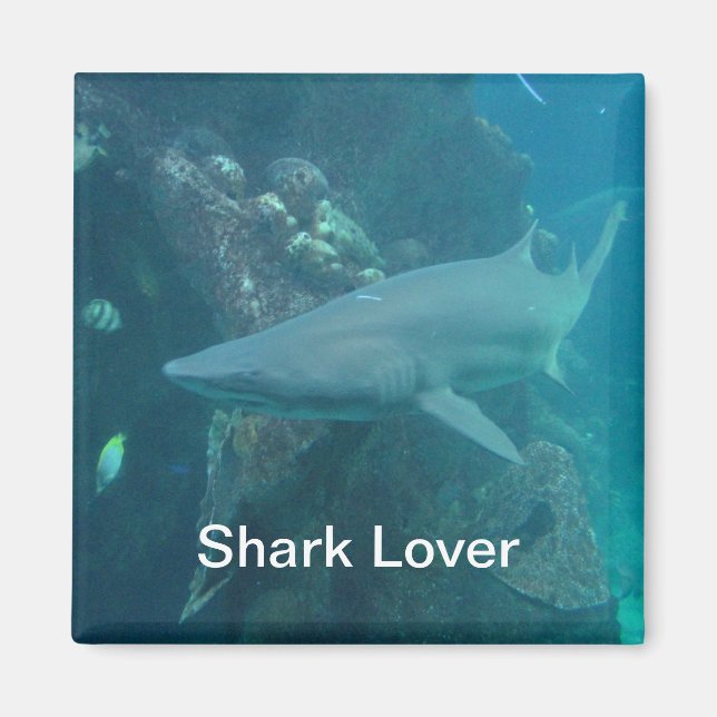 Shark Magnet (Framsidan)