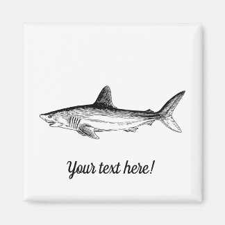 Shark Magnet
