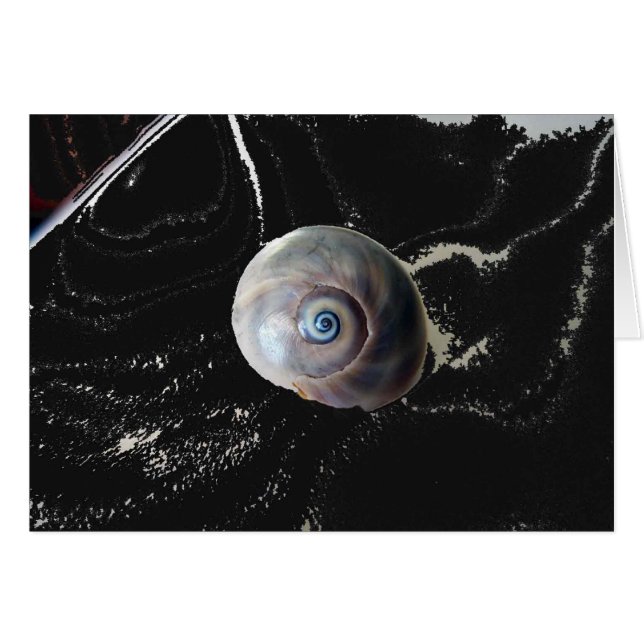 Shark Öga 2 Hälsningskort (Framsidan Horizontal)