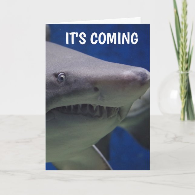 SHARK PHOTOGRAPHY FUNNY BIRTHDAY Card Kort (Framsida)