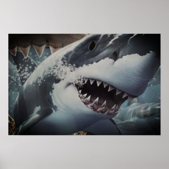 Shark Poster (Framsidan)