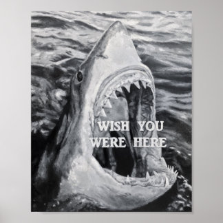 Shark Poster