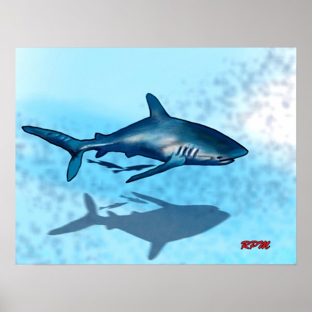 Shark Poster (Framsidan)