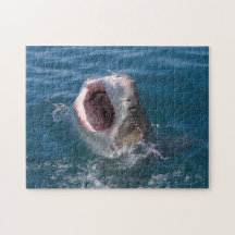 Shark Puzzle