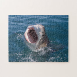Shark Puzzle Pussel
