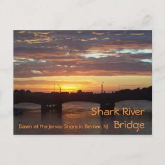 Shark River Bridge Vykort
