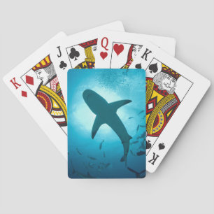Shark Silhouette Casinokort