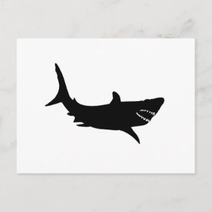 Shark Silhouette Vykort