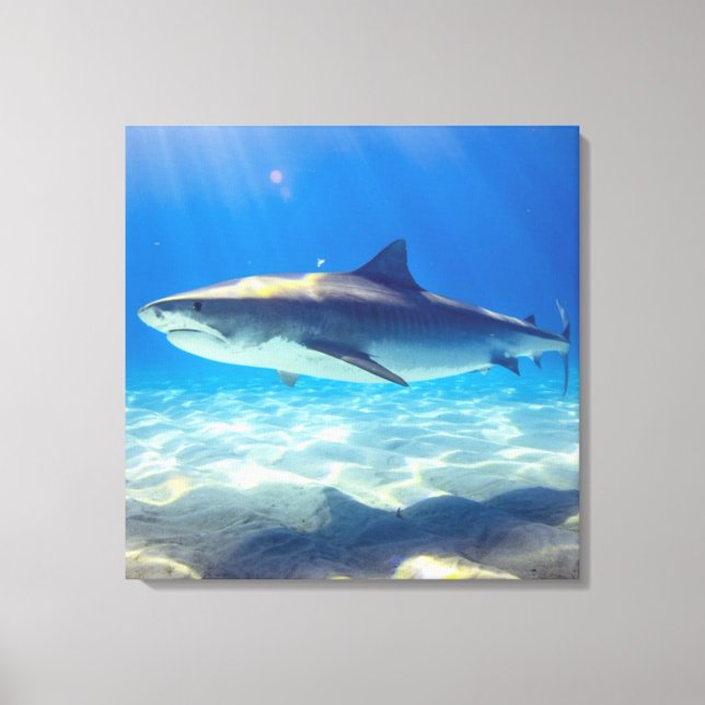 Shark Swimming Blue Ocean Vatten Canvastryck (Framsida)