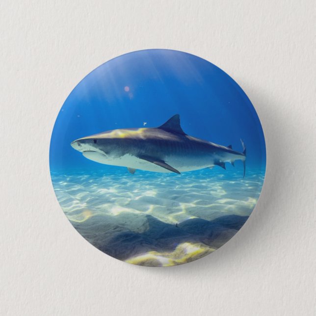 Shark Swimming Blue Ocean Vatten Knapp (Framsida)