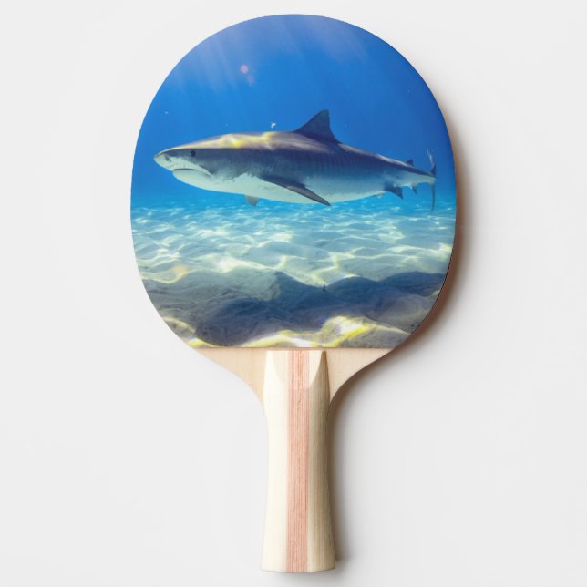 Shark Swimming Blue Ocean Vatten Pingisracket (Framsidan)