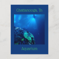 Shark Tank i Chattanooga Tennessee