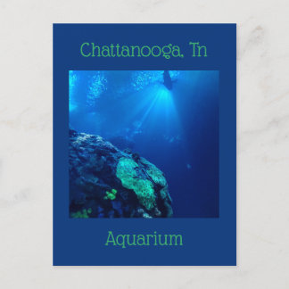 Shark Tank i Chattanooga Tennessee Vykort