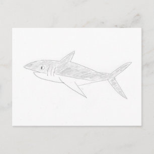 Shark Teckning Vykort