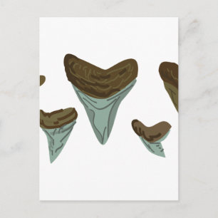 Shark Teeth Vykort