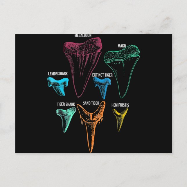 Shark Tooth Hunting - Crazy Shark Gifts Helg Vykort (Framsida)