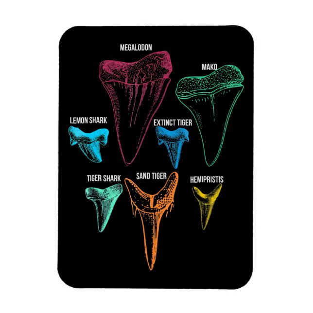 Shark Tooth Hunting - Crazy Shark Gifts Magnet (Vertikal)