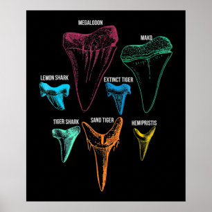 Shark Tooth Hunting Identity Nyckel Poster