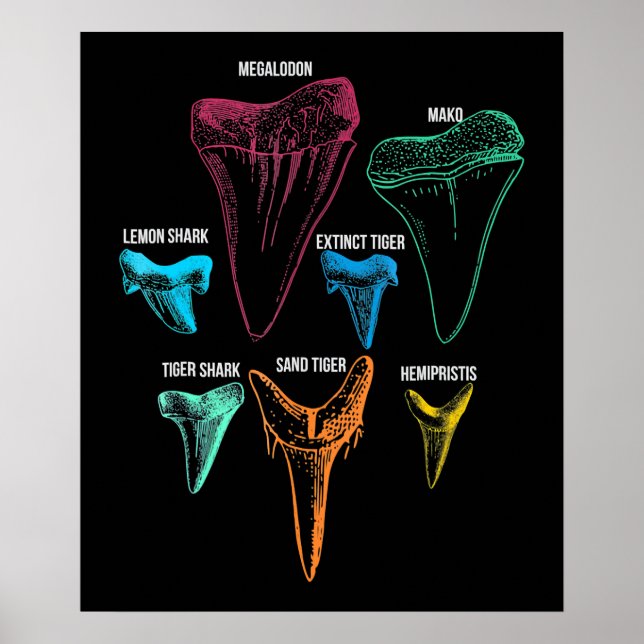 Shark Tooth Hunting Identity Nyckel Poster (Framsidan)