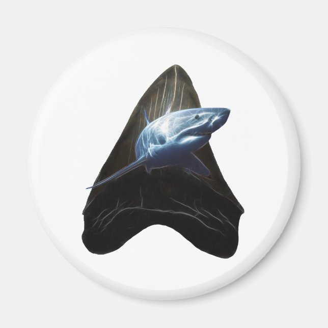 Shark Tooth Magnet (Framsidan)