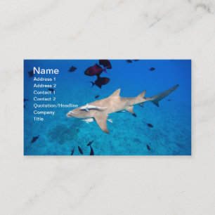 Shark Visitkort