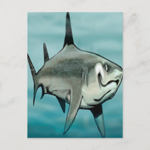 Shark Vykort